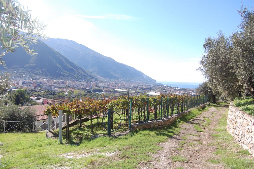 Monticelli Mansion Pension Casola di Napoli Buitenkant foto